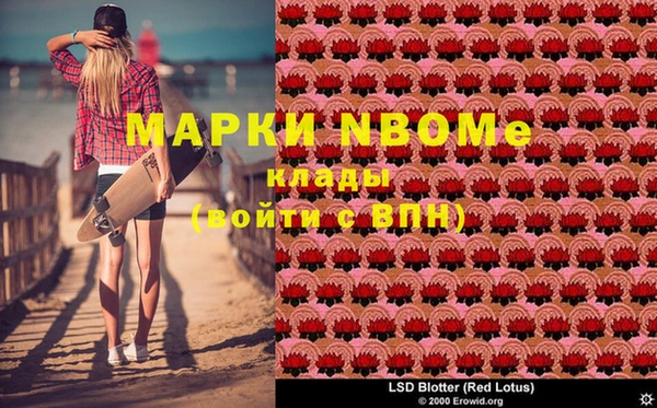 шишки Аркадак