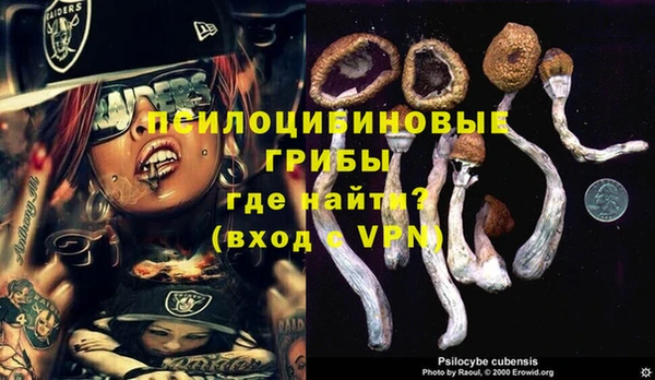 прущий лед Армянск