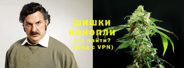 шишки Аркадак