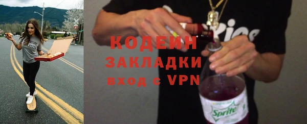 шишки Аркадак