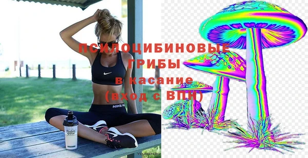 эйфоретик Арсеньев