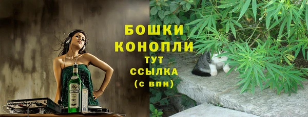 эйфоретик Арсеньев