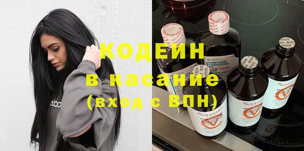 шишки Аркадак