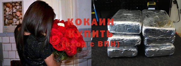 прущие грибы Саяногорск