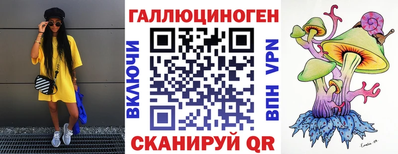 закладки  Малоярославец  Псилоцибиновые грибы Psilocybe 